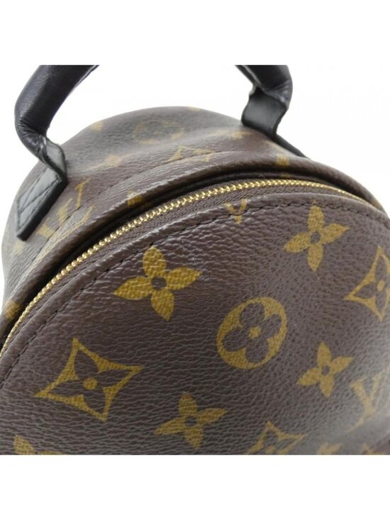Louis Vuitton Monogram Palm Spring Backpack Mini Sac main image 7